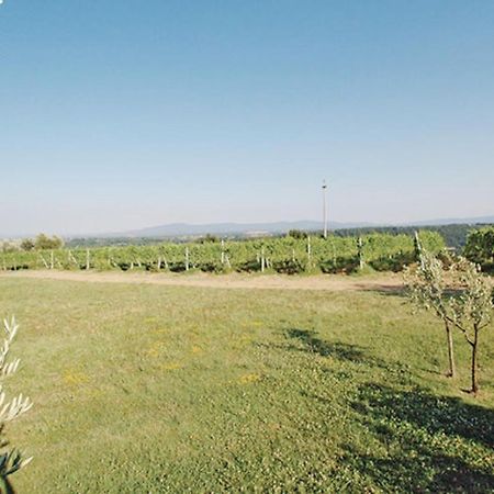 Agriturismo Fattoria Il Piano - Appartamento Aia - San Gimignano Eksteriør bilde